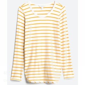 Market & Spruce Curved Hem French Terry Knit Top